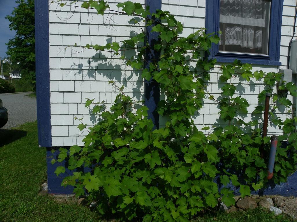 Port Hood Haus Treuburg 빌라 외부 사진